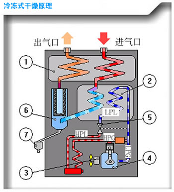 ad1_con_image_p22_2 (1).jpg